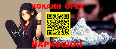 гидра Кандалакша