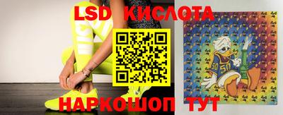 гидра Кандалакша
