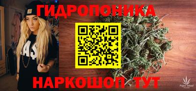 гидра Кандалакша