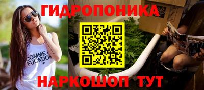 гидра Кандалакша